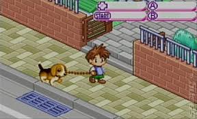 dogz 2 gameboy advance